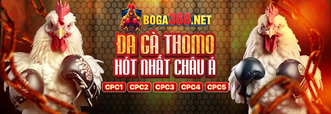 Đá gà trực tuyến đỉnh cao tại dh88 Nổ Hũ